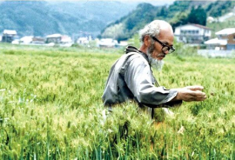 Nông nghiệp “vô vi vô tác” của fukuoka