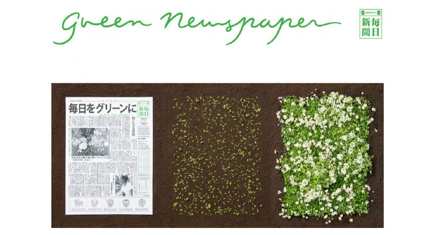 Báo giấy mọc cây: Phát minh môi trường độc đáo của người Nhật