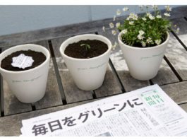 Báo giấy mọc cây: Phát minh môi trường độc đáo của người Nhật