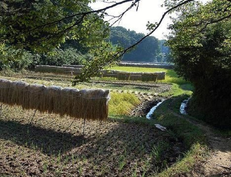 Nông nghiệp Fukouka