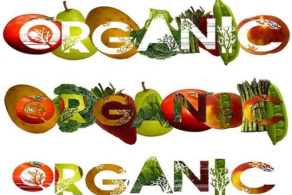Thực phẩm hữu cơ hoàn toàn không chứa chất độc hại cho cơ thể