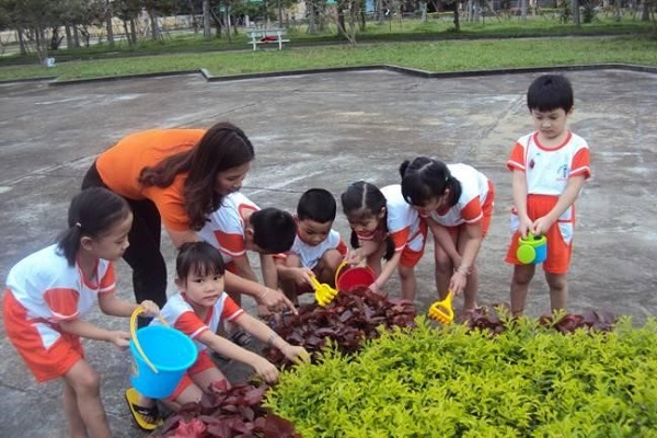 Trẻ hào hứng trải ngiệm thực tế các hoạt động trồng cây và chăm sóc cây xanh