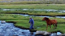 Những đồng cỏ xanh, con người thân thiện hay cơ hội rèn luyện sức khỏe với 10 km đi bộ mỗi ngày là điều bạn sẽ không bao giờ quên ở đất nước Mông Cổ.