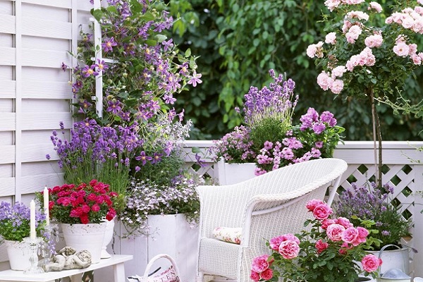 Trồng hoa là cách mang những sắc màu tươi đẹp đến không gian sống của gia đình bạn