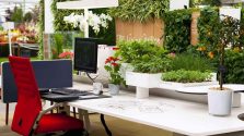 Những thiết kế sáng tạo giúp văn phòng trở thành không gian xanh