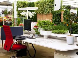 Những thiết kế sáng tạo giúp văn phòng trở thành không gian xanh