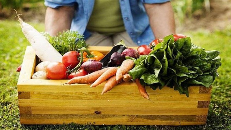 Thực phẩm hữu cơ gắn liền với nền nông nghiệp hữu cơ