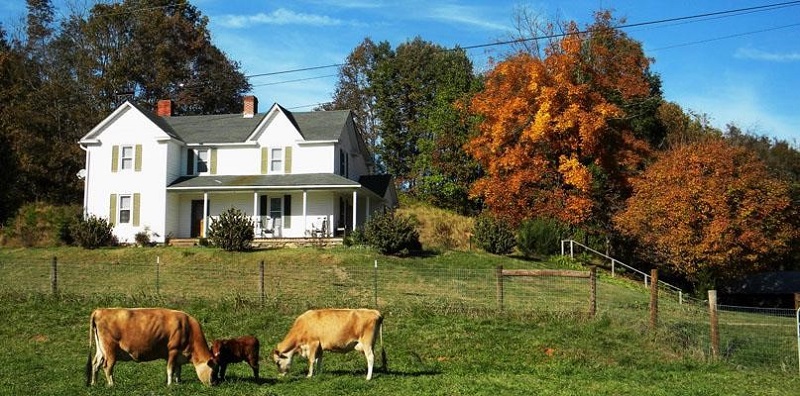 Ngôi nhà trang trại – Farmhouse.