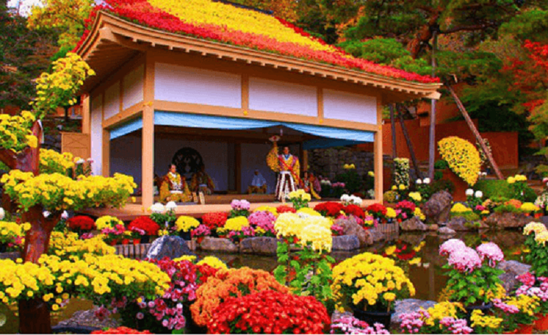 lễ hội hoa cúc tại Nhật Bản