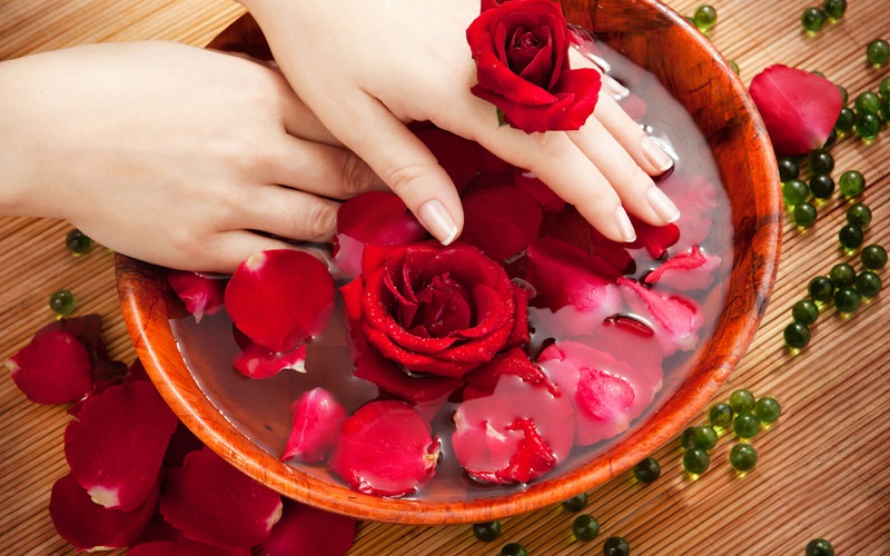 Hoa hồng chăm sóc làn da cho phái đẹp